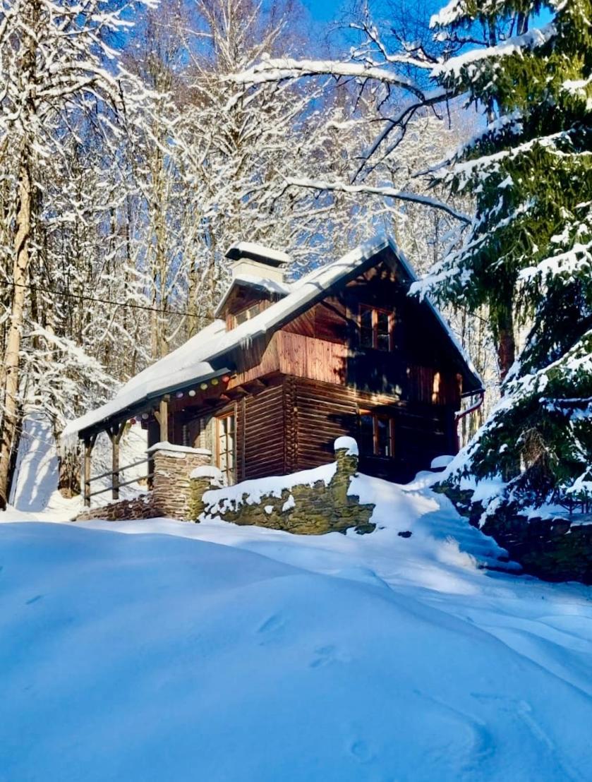 Srub V Bolkovskem Udoli Villa Rudnik Exterior photo
