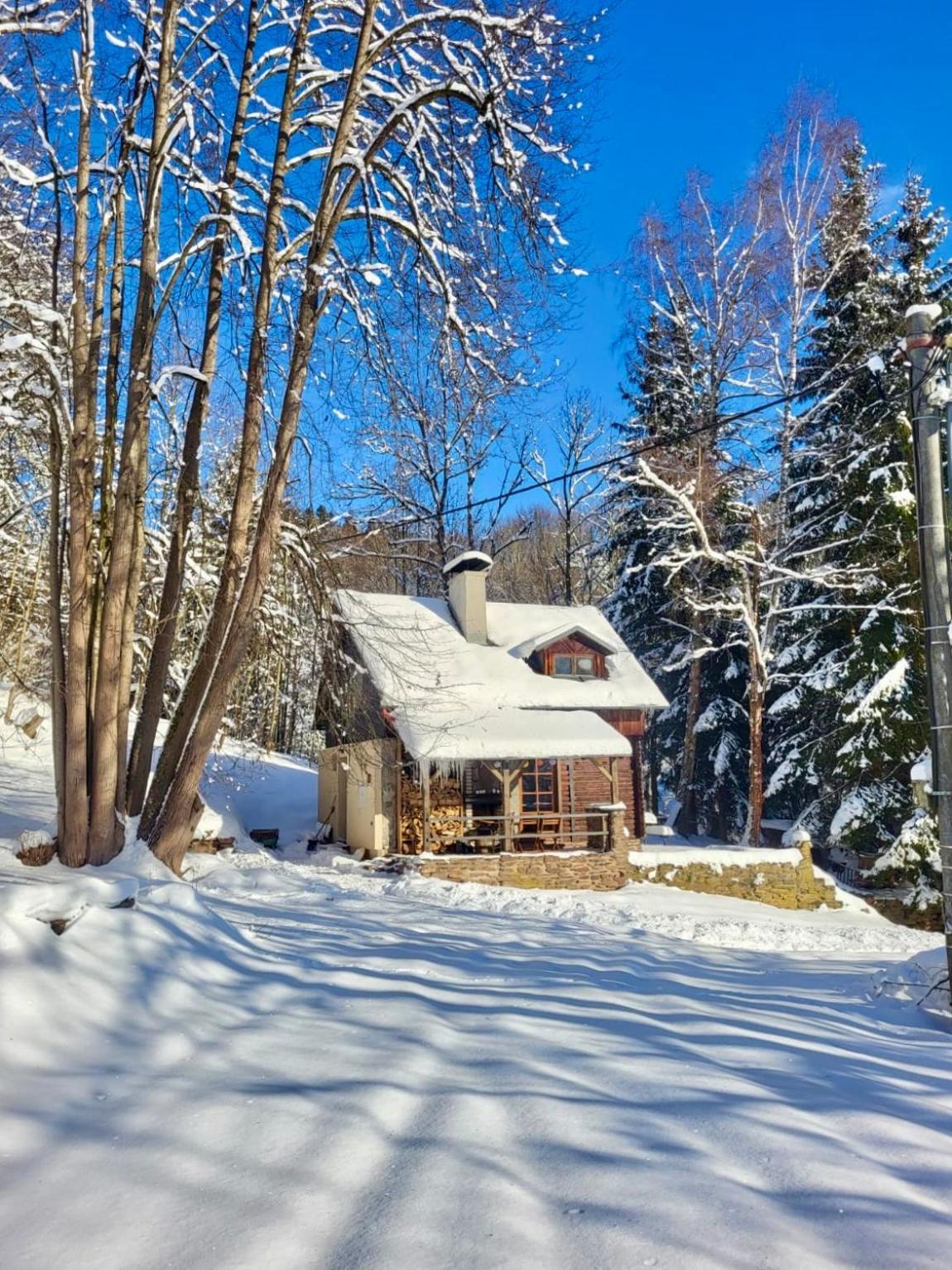 Srub V Bolkovskem Udoli Villa Rudnik Exterior photo